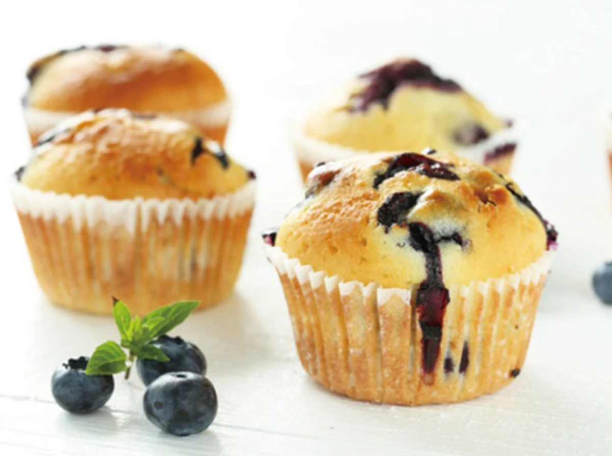 16007x24 【送料無料】 カナダ産 ブルーベリー 500gx12袋 ライフフーズ [ケース販売]