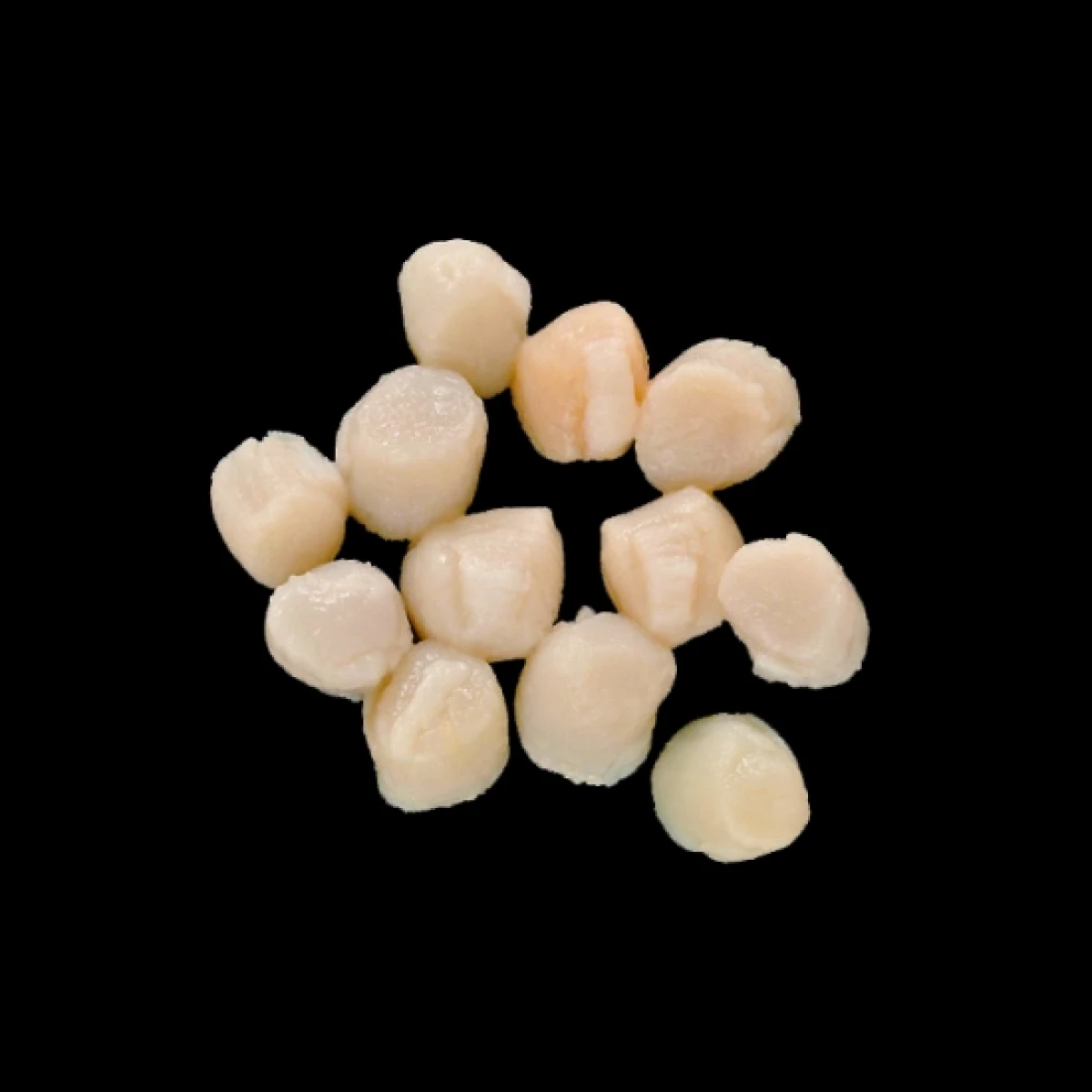 12322x10 【送料無料】 ボイル小柱 300/400 NET800gx10袋 大冷 [ケース販売]