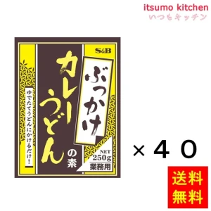 91318x40【送料無料】ぶっかけカレーうどんの素 250gx40袋 エスビー食品