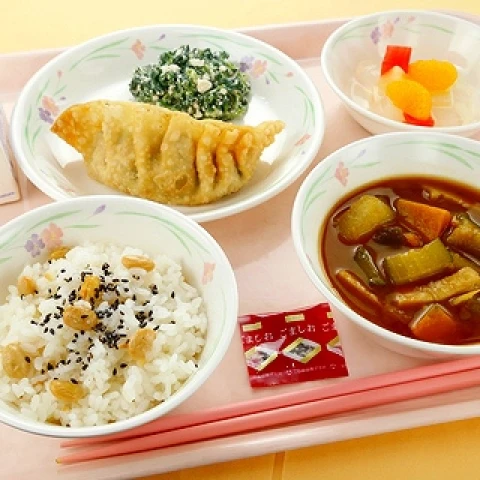 236040 ごましお 1.0gx40袋 三島食品