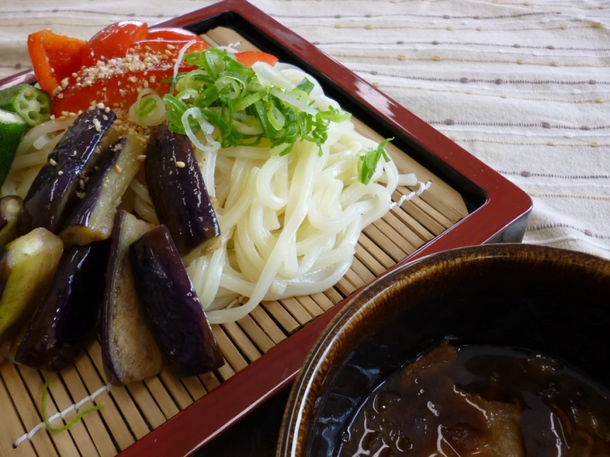 17059 冷凍細うどん (220g-5)×6パック サンデリックフーズ