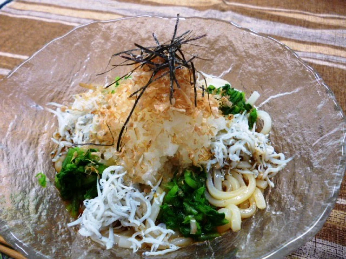 17059 冷凍細うどん (220g-5)×6パック サンデリックフーズ