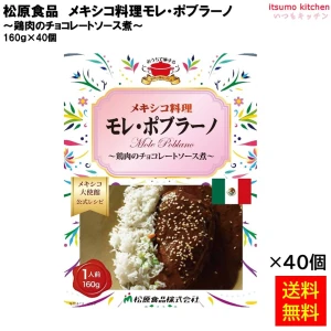 95023x40 【送料無料】 メキシコ料理モレ・ポブラーノ 160ｇ×40個 松原食品