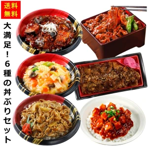 set0016 【送料無料】大満足！６種の丼ぶりセット