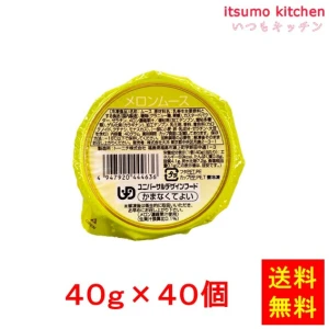 26792x40【送料無料】 メロンのムース 40g×40個 大冷